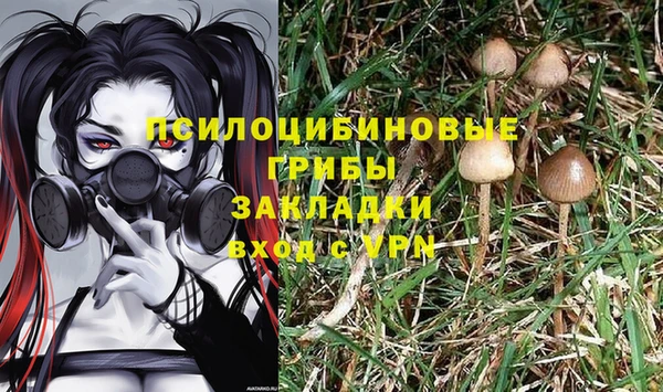 гидропоника Алзамай