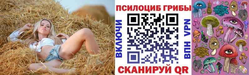 Галлюциногенные грибы ЛСД  Шумиха 
