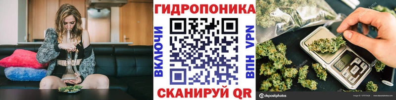 где можно купить наркотик  Шумиха  Каннабис ГИДРОПОН 